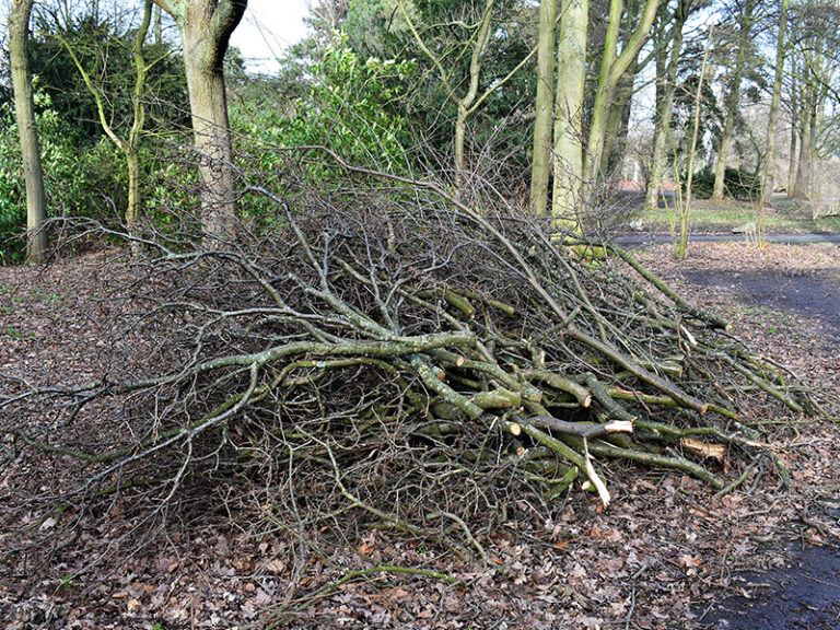 Brush Clearing & Land Clearing Chester County PA