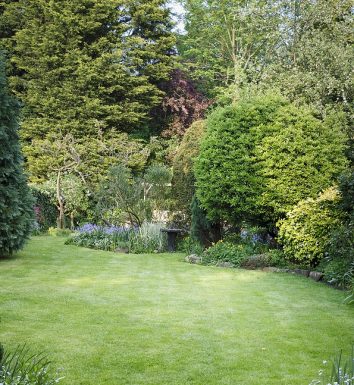 Backyard-after-brush-clearing-2.jpg